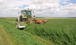 Yem Bitkileri Destekleme Ödemeleri