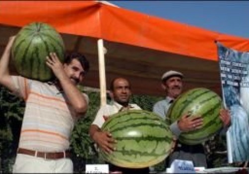 Diyarbakır Karpuzunda yarasa gübresi