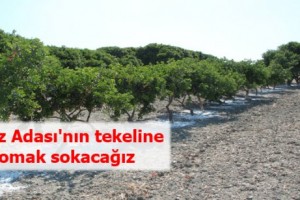 Sakız Adası'nın tekeline çomak sokacağız