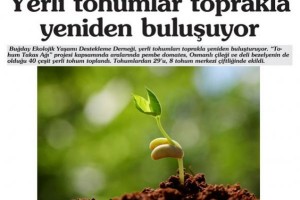 YERLİ TOHUMLAR TOPRAKLA YENİDEN BULUŞUYOR