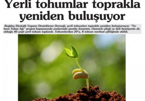 YERLİ TOHUMLAR TOPRAKLA YENİDEN BULUŞUYOR