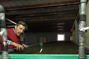 Üreticisinden solucan gübresi üretiminin detayları