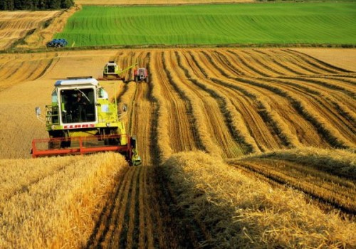 Tarım Sektörünün 2016 Bilançosu