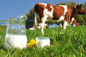 Süt fiyatlarında çiftçinin refah payı dikkate alınmıyor