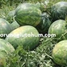 H demir fiyatları H demir fiyatları