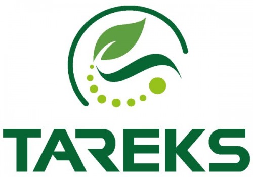 Tareks Tatlı Mısır Tohumu Çeşitleri