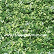 en iyi mısır tohumu hangisi en iyi mısır tohumu hangisi