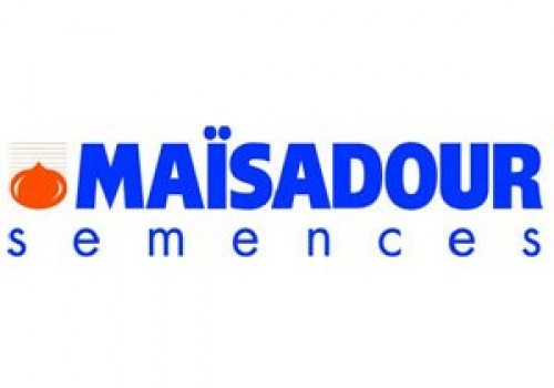 Maisadour Semences Mısır Tohumu Çeşitleri