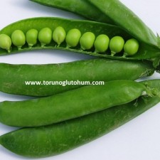 bezelye tohumu çeşitleri bezelye tohumu çeşitleri