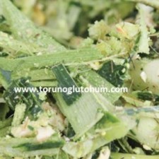 90 günlük slajlık mısır tohumu 90 günlük slajlık mısır tohumu