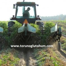 yer fıstığı hasat zamanı yer fıstığı hasat zamanı