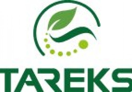 Tareks Slajlık ve Danelik Mısır Tohumu Çeşitleri