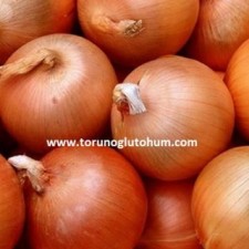 agrotan soğan tohumu agrotan soğan tohumu