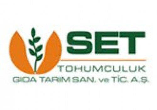 Set Tohumculuk Mısır Tohumu Çeşitleri