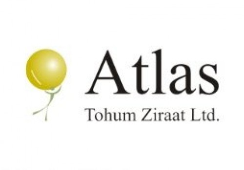 Atlas Tohum Soya Fasulyesi Tohumu Çeşitleri