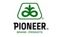 Pioneer Slajlık ve Danelik Mısır Tohumları Çeşitleri
