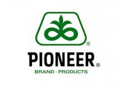 Pioneer Slajlık ve Danelik Mısır Tohumları Çeşitleri