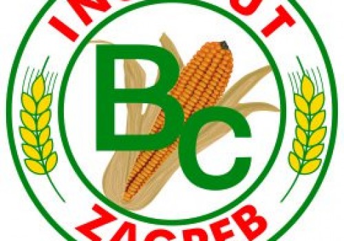 BC Institut Danelik ve Slajlık Mısır Tohumu Çeşitleri
