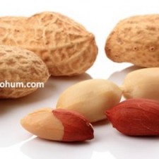 yer fıstığı ne zaman toplanır yer fıstığı ne zaman toplanır