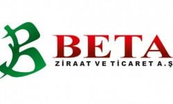 Beta Ziraat Ayçiçeği Tohumu Çeşitleri