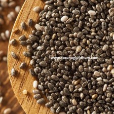 chia tohumu tarifleri chia tohumu tarifleri