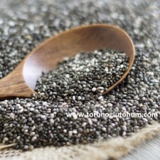 chia tohumu fiyatları chia tohumu fiyatları
