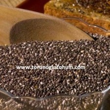 chia tohumu çeşitleri chia tohumu çeşitleri