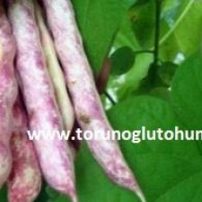 barbunya hasadı barbunya hasadı