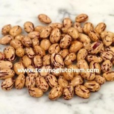 barbunya tohumu çeşitleri barbunya tohumu çeşitleri