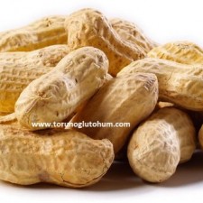 yer fıstığı tohumu nerede bulunur yer fıstığı tohumu nerede bulunur