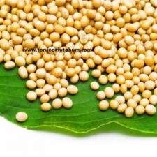 soya fasulyesi fiyatı soya fasulyesi fiyatı