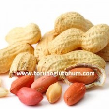 yer fıstığı dekara kaç kilo verir yer fıstığı dekara kaç kilo verir