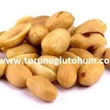 yer fıstığı tohum fiyatları yer fıstığı tohum fiyatları