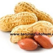 yer fıstığı tohum fiyatları 2017 yer fıstığı tohum fiyatları 2017