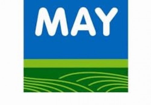 May Tohum Ayçiçeği Tohumu Çeşitleri