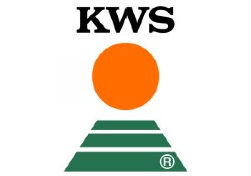 KWS Slajlık ve Danelik Mısır Tohumu Çeşitleri