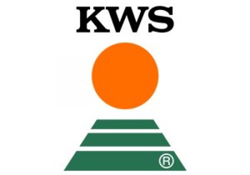 KWS Pancar Tohumu Çeşitleri