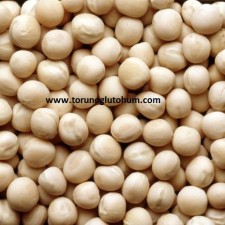 bezelye yetiştiriciliği bezelye yetiştiriciliği