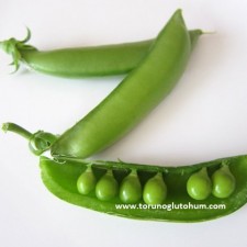 bezelye kaç günde yetişir bezelye kaç günde yetişir