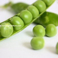 bezelye hasat zamanı bezelye hasat zamanı