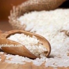 pirinç hangi ayda hasat edilir pirinç hangi ayda hasat edilir