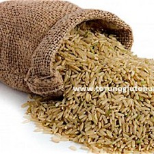 çeltik tarımı hangi iklmde yapılır çeltik tarımı hangi iklmde yapılır