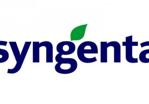 Syngenta Ayçiçeği Tohumu Çeşitleri