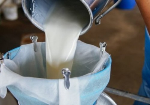 Çiğ süt satış kriterleri belirlendi