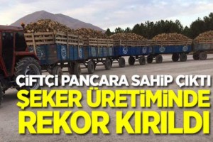 Çiftçi pancar ekti şeker üretimi rekor kırdı