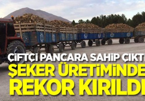 Çiftçi pancar ekti şeker üretimi rekor kırdı