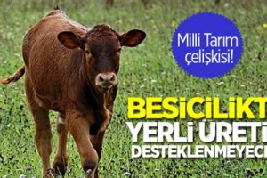 Besicilikte yerli üretim desteksiz kaldı!