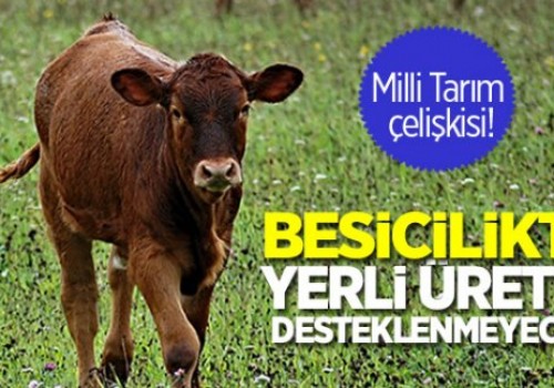 Besicilikte yerli üretim desteksiz kaldı!