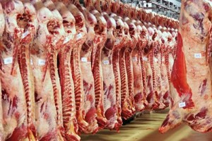 Karkas ette ithalat hazırlığı