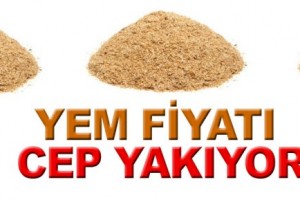 Yem fiyatı cep yakıyor